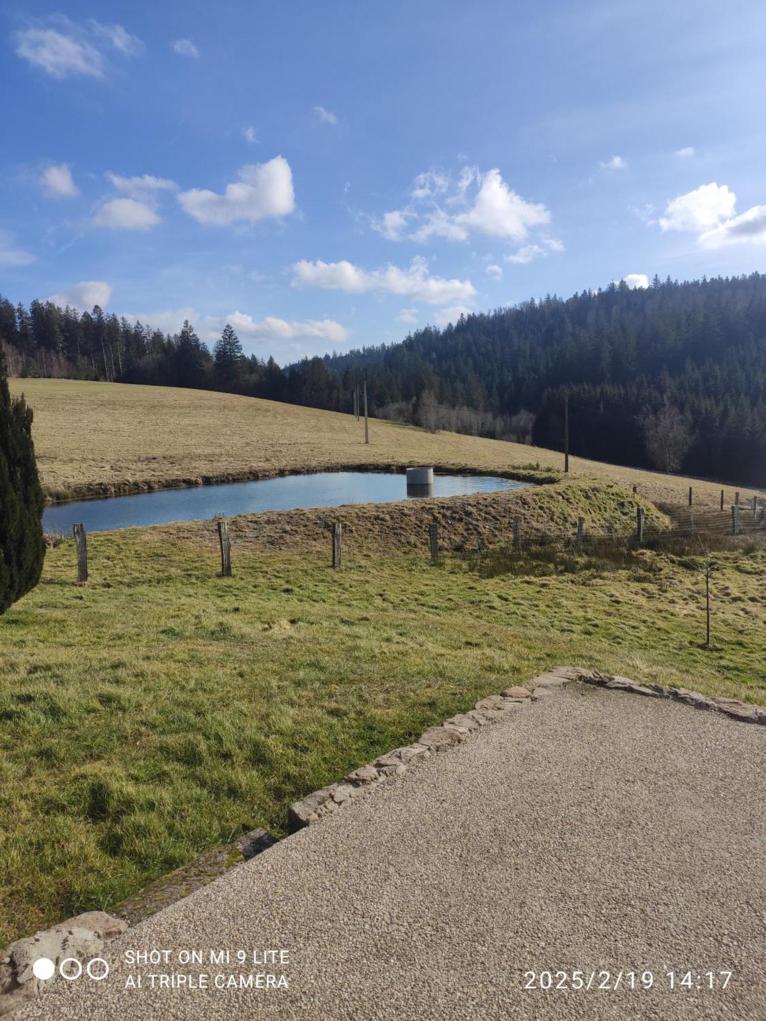 Chez Mimile Nature Et Déconnexion Tendon